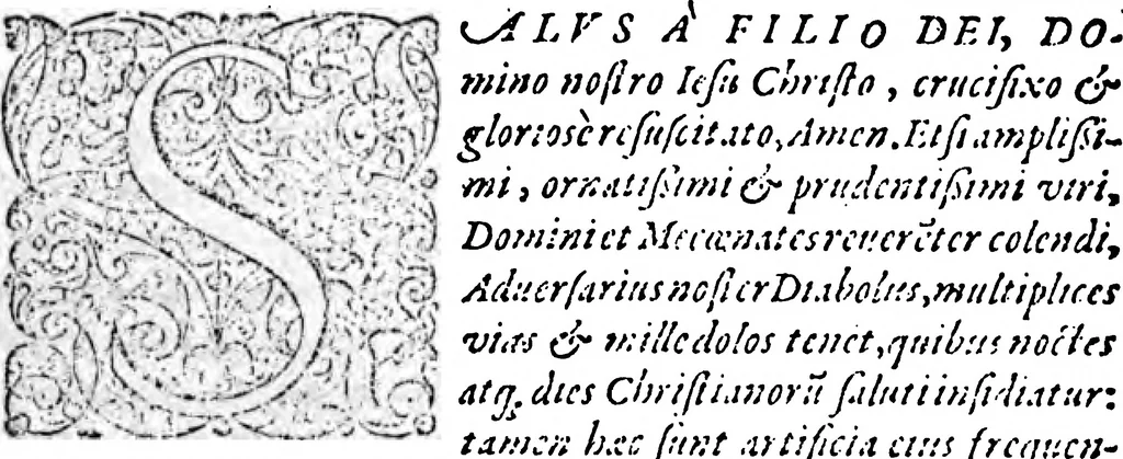 An illustration from Oratio funebris: de vita et obitu reverendissimi viri, pietate, doctrina, humanitateet ..., 1591, leaf 20