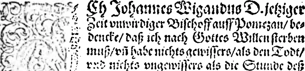 An illustration from Oratio funebris: de vita et obitu reverendissimi viri, pietate, doctrina, humanitateet ..., 1591, leaf 91