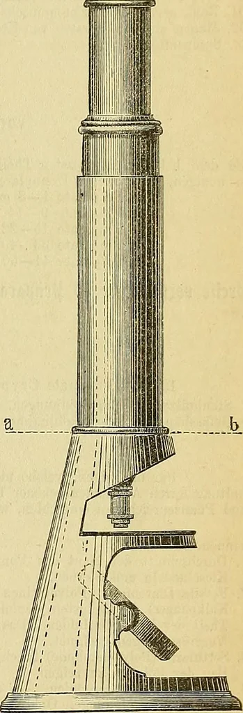 An illustration from Gear's illustrated catalogue of wood and iron working machinery, 1872, leaf 379