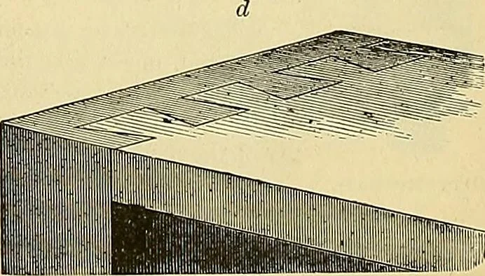 An illustration from Gear's illustrated catalogue of wood and iron working machinery, 1872, leaf 48