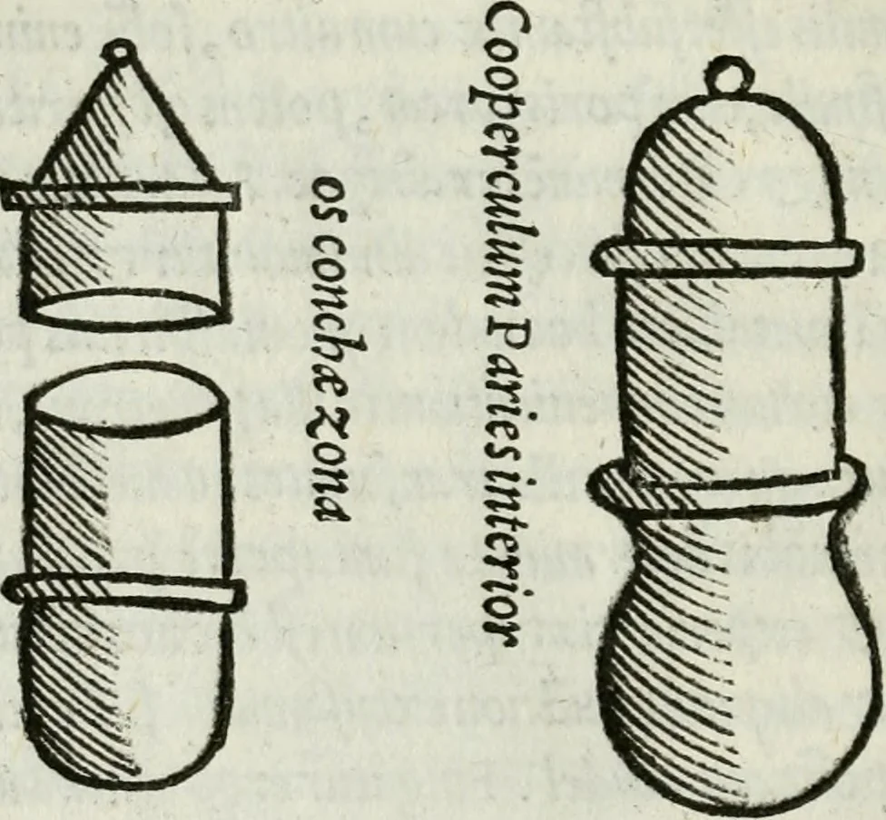 An illustration from Geberis philosophi perspicacissimi, summa perfectionis magisterii in sua natura ex Bibliothecae Vaticanae exemplari undecunq[ue] : emendatissimo nuper edita, cum quorundam capituloru[m], vasorum, & fornacum, in uolumine aliàs mendosissimè impresso omissorum : libriq[ue] inuestigationis magisterij & testamenti eiusdem Geberis, ac Aurei triu[m] uerborum libelli et Auicennae summi medici & acutissimi philosophi mineralium additio[n]e castigatissima, 1542, leaf 81