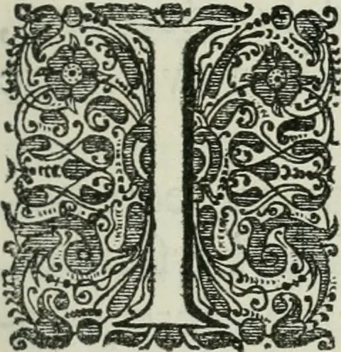 An illustration from Gedenkwaerdig bedryf der Nederlandsche Oost-Indische maetschappye, op de kuste en in het keizerrijk van Taising of Sina: behelzende het tweede gezandschap aen den onder-koning Singlamong en veldheer Taising Lipoui; door Jan van Kampen en Konstantyn Nobel. Vervolgt met een verhael van het voorgevallen des jaers zestien hondert drie ein vier en zestig, op de kust van Sina, en ontrent d'eilanden Tayowan, Formosa, Ay en Quemuy, onder 't gezag van Balthasar Bort: en het derde gezandschap aen Konchy, Tartarsche keizer van Sina en Oost-Tartarye: onder beleit van Zijne Ed. Pieter van Hoorn. Beneffens een beschryving van geheel Sina. Verciert doorgaens met verscheide kopere platen, 1670, leaf 10
