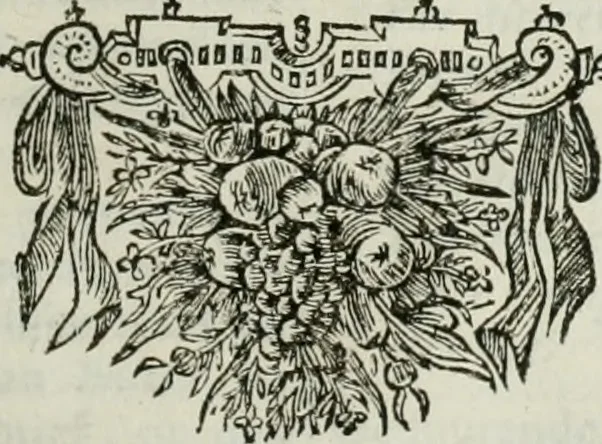 An illustration from Gedenkwaerdig bedryf der Nederlandsche Oost-Indische maetschappye, op de kuste en in het keizerrijk van Taising of Sina: behelzende het tweede gezandschap aen den onder-koning Singlamong en veldheer Taising Lipoui; door Jan van Kampen en Konstantyn Nobel. Vervolgt met een verhael van het voorgevallen des jaers zestien hondert drie ein vier en zestig, op de kust van Sina, en ontrent d'eilanden Tayowan, Formosa, Ay en Quemuy, onder 't gezag van Balthasar Bort: en het derde gezandschap aen Konchy, Tartarsche keizer van Sina en Oost-Tartarye: onder beleit van Zijne Ed. Pieter van Hoorn. Beneffens een beschryving van geheel Sina. Verciert doorgaens met verscheide kopere platen, 1670, leaf 278
