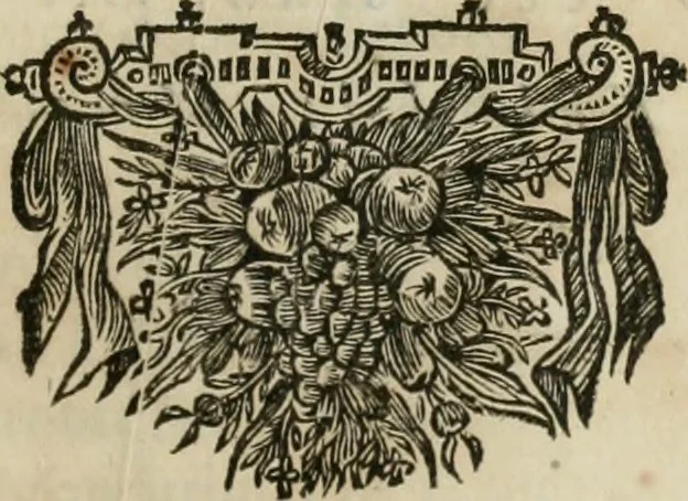 An illustration from Gedenkwaerdig bedryf der Nederlandsche Oost-Indische maetschappye, op de kuste en in het keizerrijk van Taising of Sina: behelzende het tweede gezandschap aen den onder-koning Singlamong en veldheer Taising Lipoui; door Jan van Kampen en Konstantyn Nobel. Vervolgt met een verhael van het voorgevallen des jaers zestien hondert drie ein vier en zestig, op de kust van Sina, en ontrent d'eilanden Tayowan, Formosa, Ay en Quemuy, onder 't gezag van Balthasar Bort: en het derde gezandschap aen Konchy, Tartarsche keizer van Sina en Oost-Tartarye: onder beleit van Zijne Ed. Pieter van Hoorn. Beneffens een beschryving van geheel Sina. Verciert doorgaens met verscheide kopere platen, 1670, leaf 638