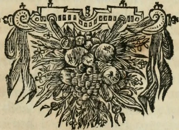 An illustration from Gedenkwaerdig bedryf der Nederlandsche Oost-Indische maetschappye, op de kuste en in het keizerrijk van Taising of Sina: behelzende het tweede gezandschap aen den onder-koning Singlamong en veldheer Taising Lipoui; door Jan van Kampen en Konstantyn Nobel. Vervolgt met een verhael van het voorgevallen des jaers zestien hondert drie ein vier en zestig, op de kust van Sina, en ontrent d'eilanden Tayowan, Formosa, Ay en Quemuy, onder 't gezag van Balthasar Bort: en het derde gezandschap aen Konchy, Tartarsche keizer van Sina en Oost-Tartarye: onder beleit van Zijne Ed. Pieter van Hoorn. Beneffens een beschryving van geheel Sina. Verciert doorgaens met verscheide kopere platen, 1670, leaf 642