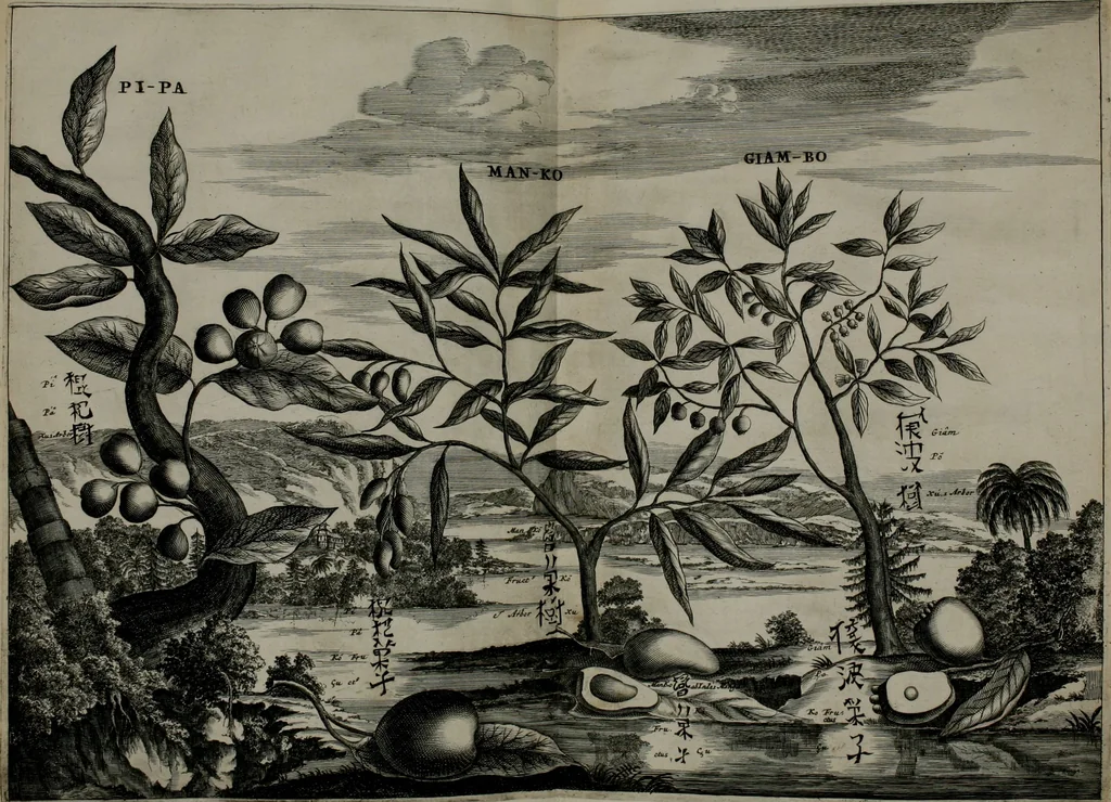 An illustration from Gedenkwaerdig bedryf der Nederlandsche Oost-Indische maetschappye, op de kuste en in het keizerrijk van Taising of Sina: behelzende het tweede gezandschap aen den onder-koning Singlamong en veldheer Taising Lipoui; door Jan van Kampen en Konstantyn Nobel. Vervolgt met een verhael van het voorgevallen des jaers zestien hondert drie ein vier en zestig, op de kust van Sina, en ontrent d'eilanden Tayowan, Formosa, Ay en Quemuy, onder 't gezag van Balthasar Bort: en het derde gezandschap aen Konchy, Tartarsche keizer van Sina en Oost-Tartarye: onder beleit van Zijne Ed. Pieter van Hoorn. Beneffens een beschryving van geheel Sina. Verciert doorgaens met verscheide kopere platen, 1670, leaf 903