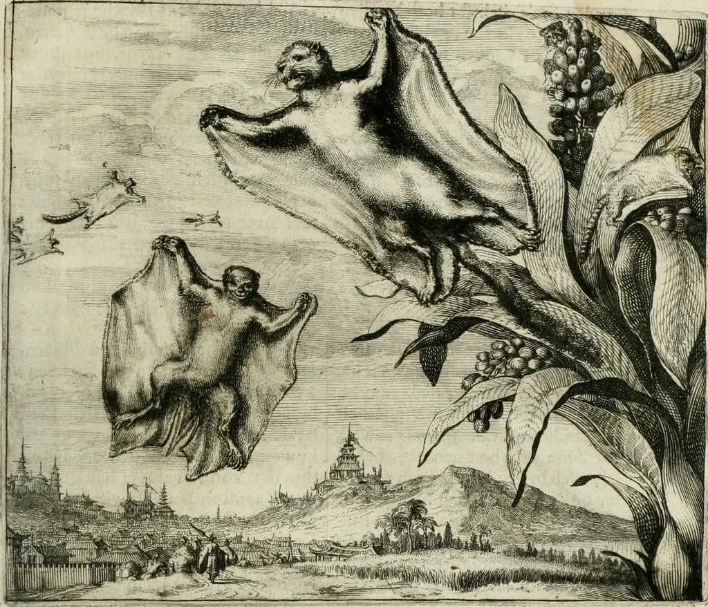 An illustration from Gedenkwaerdig bedryf der Nederlandsche Oost-Indische maetschappye, op de kuste en in het keizerrijk van Taising of Sina: behelzende het tweede gezandschap aen den onder-koning Singlamong en veldheer Taising Lipoui; door Jan van Kampen en Konstantyn Nobel. Vervolgt met een verhael van het voorgevallen des jaers zestien hondert drie ein vier en zestig, op de kust van Sina, en ontrent d'eilanden Tayowan, Formosa, Ay en Quemuy, onder 't gezag van Balthasar Bort: en het derde gezandschap aen Konchy, Tartarsche keizer van Sina en Oost-Tartarye: onder beleit van Zijne Ed. Pieter van Hoorn. Beneffens een beschryving van geheel Sina. Verciert doorgaens met verscheide kopere platen, 1670, leaf 926