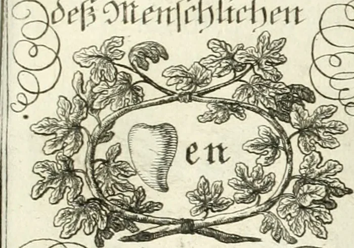 An illustration from Geistliche Herzens-Einbildungen inn zweihundert und fünfzig biblischen Figur-Sprüchen angedeutet : allen andächtige[n] Herze[n], u. der Tugent-Liebenden Jugent, zu einer Gottseligen Belustigung, auch denen Einfältigen, zu einer anmuthigen Vorstellung, unschweren Ergreiffung, und nuzlichen Fassung, auss allen canonischen Büchern der H. Schrifft ..., 1688, leaf 102
