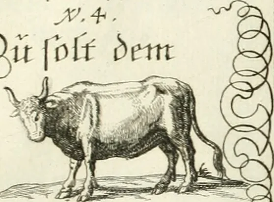 An illustration from Geistliche Herzens-Einbildungen inn zweihundert und fünfzig biblischen Figur-Sprüchen angedeutet : allen andächtige[n] Herze[n], u. der Tugent-Liebenden Jugent, zu einer Gottseligen Belustigung, auch denen Einfältigen, zu einer anmuthigen Vorstellung, unschweren Ergreiffung, und nuzlichen Fassung, auss allen canonischen Büchern der H. Schrifft ..., 1688, leaf 106