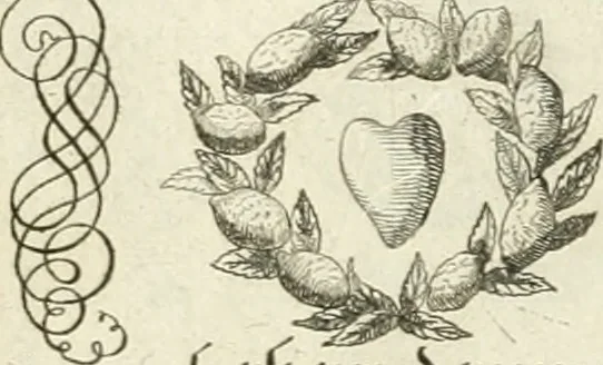 An illustration from Geistliche Herzens-Einbildungen inn zweihundert und fünfzig biblischen Figur-Sprüchen angedeutet : allen andächtige[n] Herze[n], u. der Tugent-Liebenden Jugent, zu einer Gottseligen Belustigung, auch denen Einfältigen, zu einer anmuthigen Vorstellung, unschweren Ergreiffung, und nuzlichen Fassung, auss allen canonischen Büchern der H. Schrifft ..., 1688, leaf 110