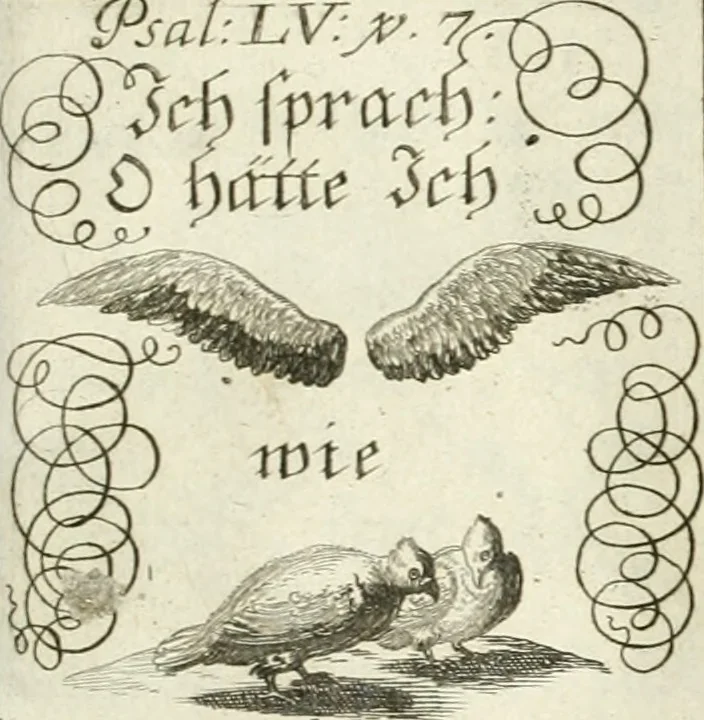 An illustration from Geistliche Herzens-Einbildungen inn zweihundert und fünfzig biblischen Figur-Sprüchen angedeutet : allen andächtige[n] Herze[n], u. der Tugent-Liebenden Jugent, zu einer Gottseligen Belustigung, auch denen Einfältigen, zu einer anmuthigen Vorstellung, unschweren Ergreiffung, und nuzlichen Fassung, auss allen canonischen Büchern der H. Schrifft ..., 1688, leaf 112
