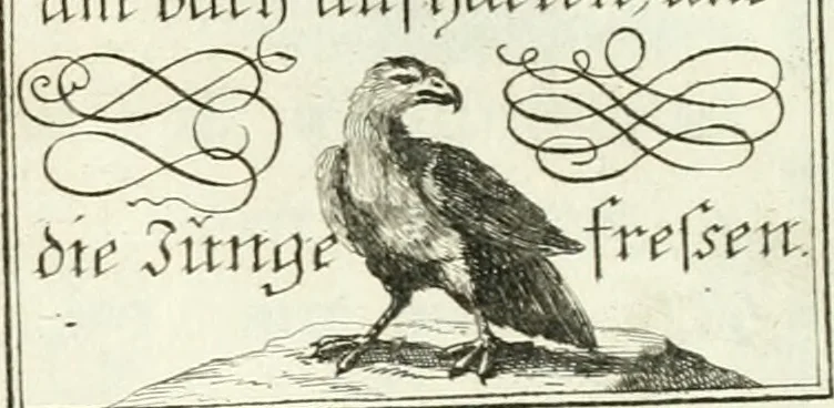 An illustration from Geistliche Herzens-Einbildungen inn zweihundert und fünfzig biblischen Figur-Sprüchen angedeutet : allen andächtige[n] Herze[n], u. der Tugent-Liebenden Jugent, zu einer Gottseligen Belustigung, auch denen Einfältigen, zu einer anmuthigen Vorstellung, unschweren Ergreiffung, und nuzlichen Fassung, auss allen canonischen Büchern der H. Schrifft ..., 1688, leaf 116