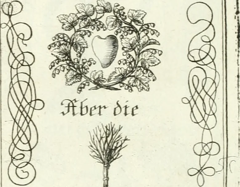 An illustration from Geistliche Herzens-Einbildungen inn zweihundert und fünfzig biblischen Figur-Sprüchen angedeutet : allen andächtige[n] Herze[n], u. der Tugent-Liebenden Jugent, zu einer Gottseligen Belustigung, auch denen Einfältigen, zu einer anmuthigen Vorstellung, unschweren Ergreiffung, und nuzlichen Fassung, auss allen canonischen Büchern der H. Schrifft ..., 1688, leaf 124