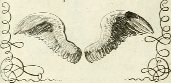 An illustration from Geistliche Herzens-Einbildungen inn zweihundert und fünfzig biblischen Figur-Sprüchen angedeutet : allen andächtige[n] Herze[n], u. der Tugent-Liebenden Jugent, zu einer Gottseligen Belustigung, auch denen Einfältigen, zu einer anmuthigen Vorstellung, unschweren Ergreiffung, und nuzlichen Fassung, auss allen canonischen Büchern der H. Schrifft ..., 1688, leaf 128