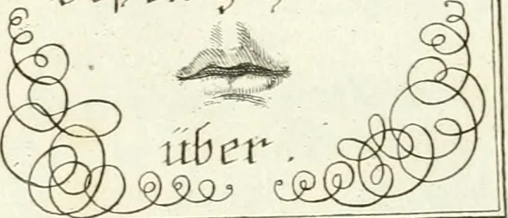 An illustration from Geistliche Herzens-Einbildungen inn zweihundert und fünfzig biblischen Figur-Sprüchen angedeutet : allen andächtige[n] Herze[n], u. der Tugent-Liebenden Jugent, zu einer Gottseligen Belustigung, auch denen Einfältigen, zu einer anmuthigen Vorstellung, unschweren Ergreiffung, und nuzlichen Fassung, auss allen canonischen Büchern der H. Schrifft ..., 1688, leaf 142