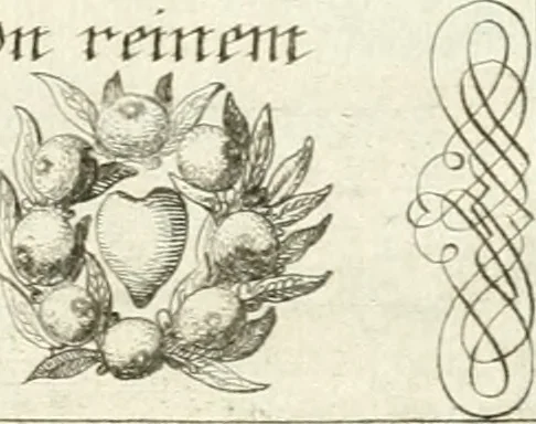 An illustration from Geistliche Herzens-Einbildungen inn zweihundert und fünfzig biblischen Figur-Sprüchen angedeutet : allen andächtige[n] Herze[n], u. der Tugent-Liebenden Jugent, zu einer Gottseligen Belustigung, auch denen Einfältigen, zu einer anmuthigen Vorstellung, unschweren Ergreiffung, und nuzlichen Fassung, auss allen canonischen Büchern der H. Schrifft ..., 1688, leaf 170