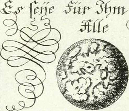 An illustration from Geistliche Herzens-Einbildungen inn zweihundert und fünfzig biblischen Figur-Sprüchen angedeutet : allen andächtige[n] Herze[n], u. der Tugent-Liebenden Jugent, zu einer Gottseligen Belustigung, auch denen Einfältigen, zu einer anmuthigen Vorstellung, unschweren Ergreiffung, und nuzlichen Fassung, auss allen canonischen Büchern der H. Schrifft ..., 1688, leaf 290