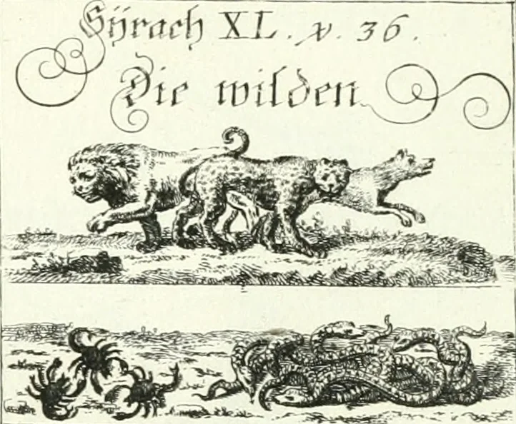 An illustration from Geistliche Herzens-Einbildungen inn zweihundert und fünfzig biblischen Figur-Sprüchen angedeutet : allen andächtige[n] Herze[n], u. der Tugent-Liebenden Jugent, zu einer Gottseligen Belustigung, auch denen Einfältigen, zu einer anmuthigen Vorstellung, unschweren Ergreiffung, und nuzlichen Fassung, auss allen canonischen Büchern der H. Schrifft ..., 1688, leaf 294