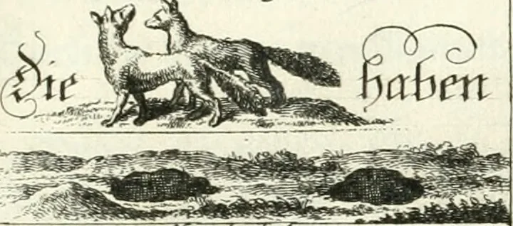 An illustration from Geistliche Herzens-Einbildungen inn zweihundert und fünfzig biblischen Figur-Sprüchen angedeutet : allen andächtige[n] Herze[n], u. der Tugent-Liebenden Jugent, zu einer Gottseligen Belustigung, auch denen Einfältigen, zu einer anmuthigen Vorstellung, unschweren Ergreiffung, und nuzlichen Fassung, auss allen canonischen Büchern der H. Schrifft ..., 1688, leaf 296