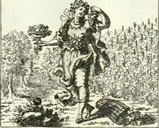 An illustration from Geistliche Herzens-Einbildungen inn zweihundert und fünfzig biblischen Figur-Sprüchen angedeutet : allen andächtige[n] Herze[n], u. der Tugent-Liebenden Jugent, zu einer Gottseligen Belustigung, auch denen Einfältigen, zu einer anmuthigen Vorstellung, unschweren Ergreiffung, und nuzlichen Fassung, auss allen canonischen Büchern der H. Schrifft ..., 1688, leaf 306