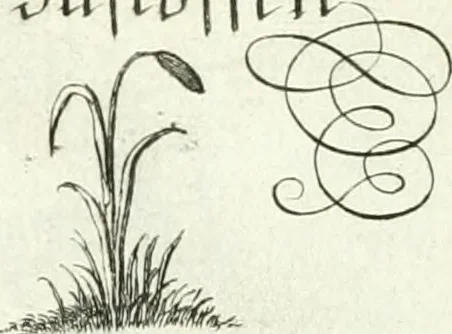 An illustration from Geistliche Herzens-Einbildungen inn zweihundert und fünfzig biblischen Figur-Sprüchen angedeutet : allen andächtige[n] Herze[n], u. der Tugent-Liebenden Jugent, zu einer Gottseligen Belustigung, auch denen Einfältigen, zu einer anmuthigen Vorstellung, unschweren Ergreiffung, und nuzlichen Fassung, auss allen canonischen Büchern der H. Schrifft ..., 1688, leaf 316