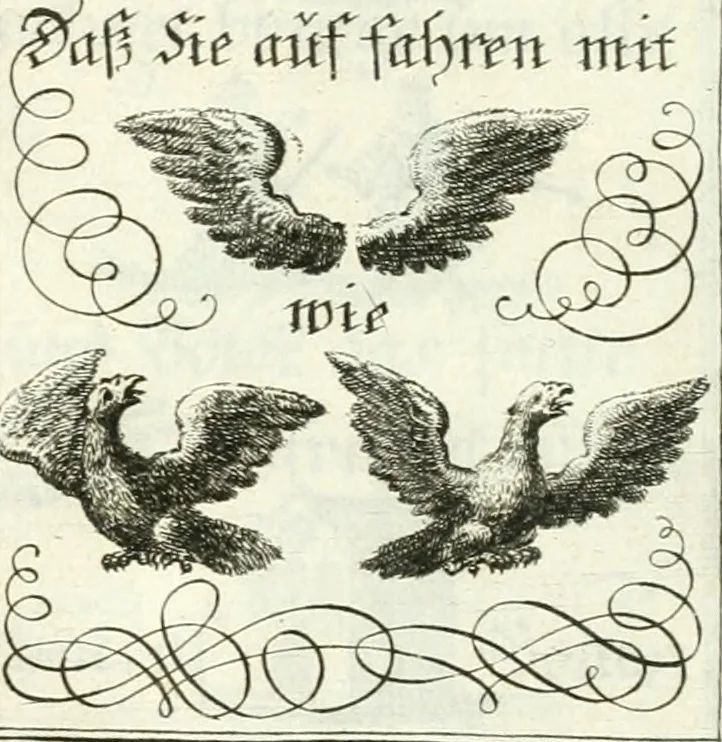 An illustration from Geistliche Herzens-Einbildungen inn zweihundert und fünfzig biblischen Figur-Sprüchen angedeutet : allen andächtige[n] Herze[n], u. der Tugent-Liebenden Jugent, zu einer Gottseligen Belustigung, auch denen Einfältigen, zu einer anmuthigen Vorstellung, unschweren Ergreiffung, und nuzlichen Fassung, auss allen canonischen Büchern der H. Schrifft ..., 1688, leaf 330