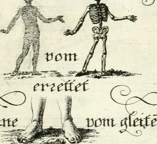 An illustration from Geistliche Herzens-Einbildungen inn zweihundert und fünfzig biblischen Figur-Sprüchen angedeutet : allen andächtige[n] Herze[n], u. der Tugent-Liebenden Jugent, zu einer Gottseligen Belustigung, auch denen Einfältigen, zu einer anmuthigen Vorstellung, unschweren Ergreiffung, und nuzlichen Fassung, auss allen canonischen Büchern der H. Schrifft ..., 1688, leaf 334