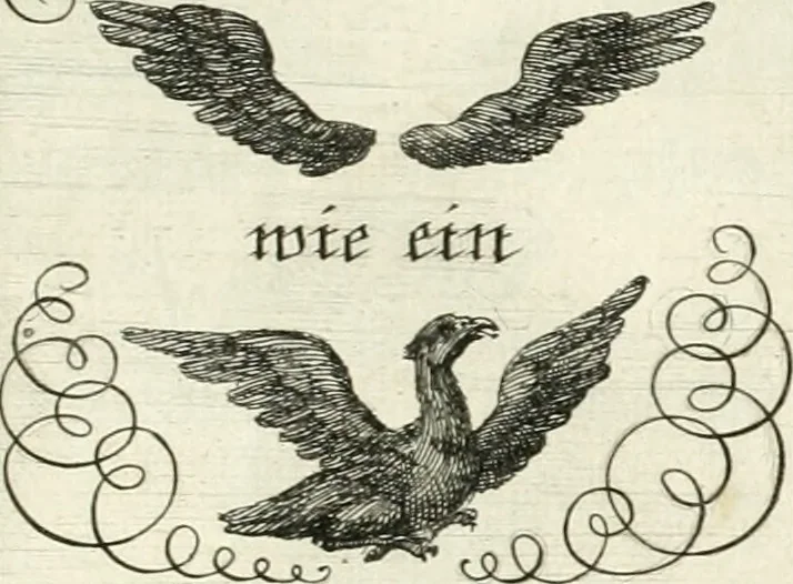 An illustration from Geistliche Herzens-Einbildungen inn zweihundert und fünfzig biblischen Figur-Sprüchen angedeutet : allen andächtige[n] Herze[n], u. der Tugent-Liebenden Jugent, zu einer Gottseligen Belustigung, auch denen Einfältigen, zu einer anmuthigen Vorstellung, unschweren Ergreiffung, und nuzlichen Fassung, auss allen canonischen Büchern der H. Schrifft ..., 1688, leaf 348
