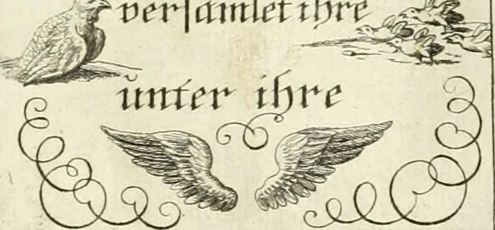 An illustration from Geistliche Herzens-Einbildungen inn zweihundert und fünfzig biblischen Figur-Sprüchen angedeutet : allen andächtige[n] Herze[n], u. der Tugent-Liebenden Jugent, zu einer Gottseligen Belustigung, auch denen Einfältigen, zu einer anmuthigen Vorstellung, unschweren Ergreiffung, und nuzlichen Fassung, auss allen canonischen Büchern der H. Schrifft ..., 1688, leaf 36