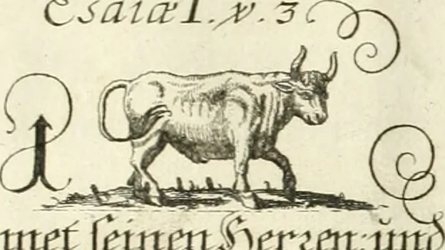 An illustration from Geistliche Herzens-Einbildungen inn zweihundert und fünfzig biblischen Figur-Sprüchen angedeutet : allen andächtige[n] Herze[n], u. der Tugent-Liebenden Jugent, zu einer Gottseligen Belustigung, auch denen Einfältigen, zu einer anmuthigen Vorstellung, unschweren Ergreiffung, und nuzlichen Fassung, auss allen canonischen Büchern der H. Schrifft ..., 1688, leaf 38