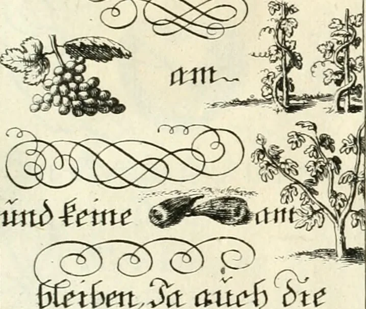An illustration from Geistliche Herzens-Einbildungen inn zweihundert und fünfzig biblischen Figur-Sprüchen angedeutet : allen andächtige[n] Herze[n], u. der Tugent-Liebenden Jugent, zu einer Gottseligen Belustigung, auch denen Einfältigen, zu einer anmuthigen Vorstellung, unschweren Ergreiffung, und nuzlichen Fassung, auss allen canonischen Büchern der H. Schrifft ..., 1688, leaf 382