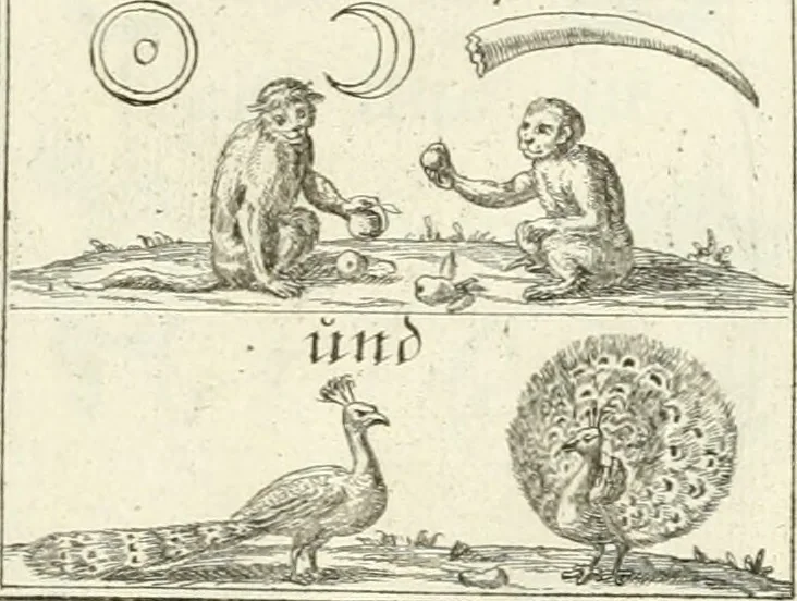 An illustration from Geistliche Herzens-Einbildungen inn zweihundert und fünfzig biblischen Figur-Sprüchen angedeutet : allen andächtige[n] Herze[n], u. der Tugent-Liebenden Jugent, zu einer Gottseligen Belustigung, auch denen Einfältigen, zu einer anmuthigen Vorstellung, unschweren Ergreiffung, und nuzlichen Fassung, auss allen canonischen Büchern der H. Schrifft ..., 1688, leaf 50