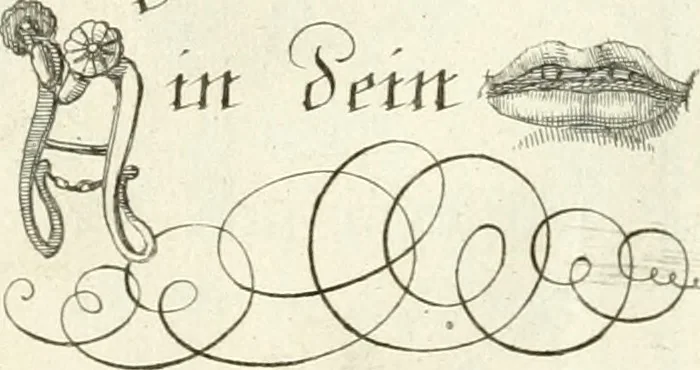 An illustration from Geistliche Herzens-Einbildungen inn zweihundert und fünfzig biblischen Figur-Sprüchen angedeutet : allen andächtige[n] Herze[n], u. der Tugent-Liebenden Jugent, zu einer Gottseligen Belustigung, auch denen Einfältigen, zu einer anmuthigen Vorstellung, unschweren Ergreiffung, und nuzlichen Fassung, auss allen canonischen Büchern der H. Schrifft ..., 1688, leaf 52
