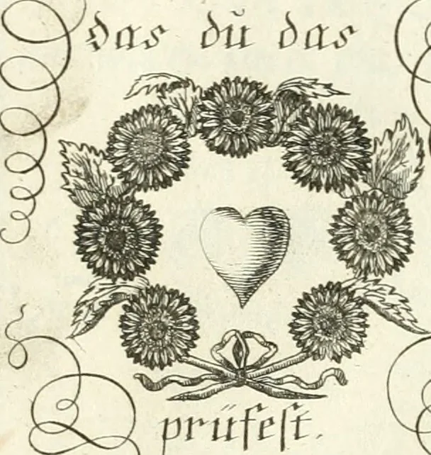 An illustration from Geistliche Herzens-Einbildungen inn zweihundert und fünfzig biblischen Figur-Sprüchen angedeutet : allen andächtige[n] Herze[n], u. der Tugent-Liebenden Jugent, zu einer Gottseligen Belustigung, auch denen Einfältigen, zu einer anmuthigen Vorstellung, unschweren Ergreiffung, und nuzlichen Fassung, auss allen canonischen Büchern der H. Schrifft ..., 1688, leaf 54