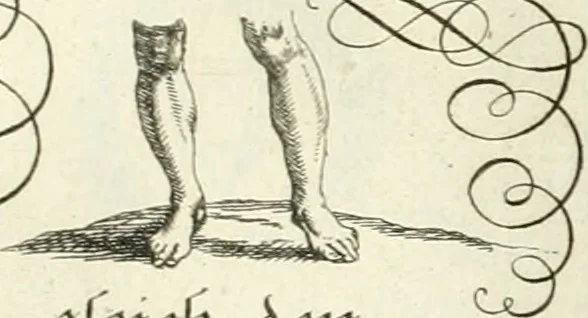 An illustration from Geistliche Herzens-Einbildungen inn zweihundert und fünfzig biblischen Figur-Sprüchen angedeutet : allen andächtige[n] Herze[n], u. der Tugent-Liebenden Jugent, zu einer Gottseligen Belustigung, auch denen Einfältigen, zu einer anmuthigen Vorstellung, unschweren Ergreiffung, und nuzlichen Fassung, auss allen canonischen Büchern der H. Schrifft ..., 1688, leaf 60