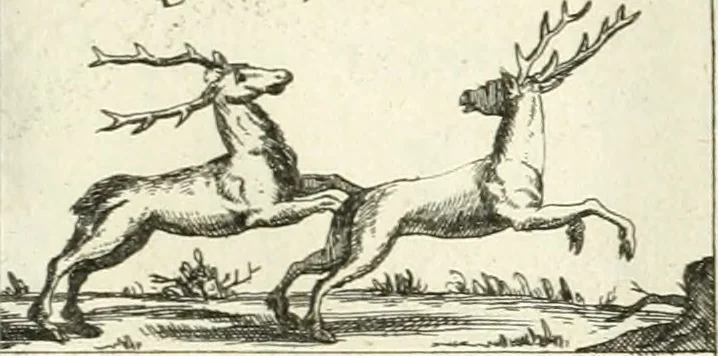 An illustration from Geistliche Herzens-Einbildungen inn zweihundert und fünfzig biblischen Figur-Sprüchen angedeutet : allen andächtige[n] Herze[n], u. der Tugent-Liebenden Jugent, zu einer Gottseligen Belustigung, auch denen Einfältigen, zu einer anmuthigen Vorstellung, unschweren Ergreiffung, und nuzlichen Fassung, auss allen canonischen Büchern der H. Schrifft ..., 1688, leaf 60