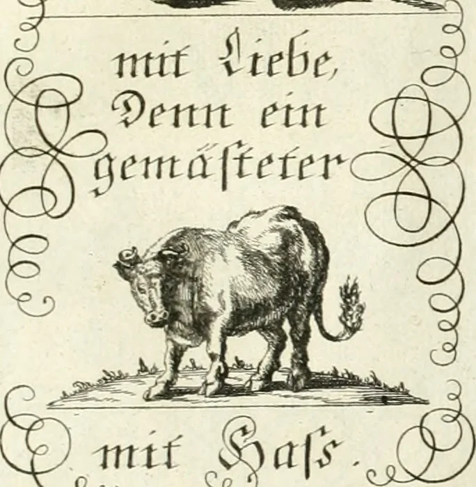 An illustration from Geistliche Herzens-Einbildungen inn zweihundert und fünfzig biblischen Figur-Sprüchen angedeutet : allen andächtige[n] Herze[n], u. der Tugent-Liebenden Jugent, zu einer Gottseligen Belustigung, auch denen Einfältigen, zu einer anmuthigen Vorstellung, unschweren Ergreiffung, und nuzlichen Fassung, auss allen canonischen Büchern der H. Schrifft ..., 1688, leaf 74