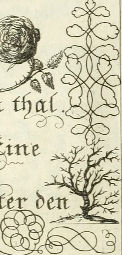 An illustration from Geistliche Herzens-Einbildungen inn zweihundert und fünfzig biblischen Figur-Sprüchen angedeutet : allen andächtige[n] Herze[n], u. der Tugent-Liebenden Jugent, zu einer Gottseligen Belustigung, auch denen Einfältigen, zu einer anmuthigen Vorstellung, unschweren Ergreiffung, und nuzlichen Fassung, auss allen canonischen Büchern der H. Schrifft ..., 1688, leaf 84