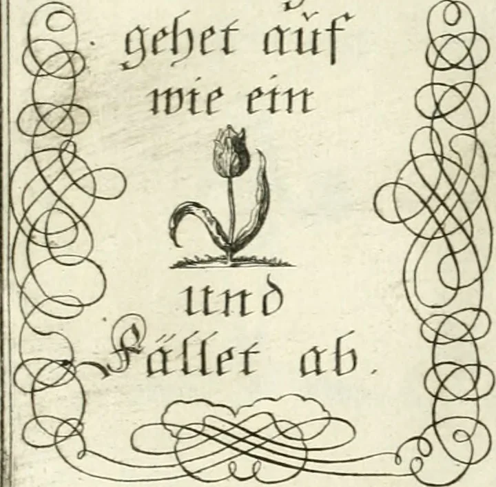 An illustration from Geistliche Herzens-Einbildungen inn zweihundert und fünfzig biblischen Figur-Sprüchen angedeutet : allen andächtige[n] Herze[n], u. der Tugent-Liebenden Jugent, zu einer Gottseligen Belustigung, auch denen Einfältigen, zu einer anmuthigen Vorstellung, unschweren Ergreiffung, und nuzlichen Fassung, auss allen canonischen Büchern der H. Schrifft ..., 1688, leaf 88