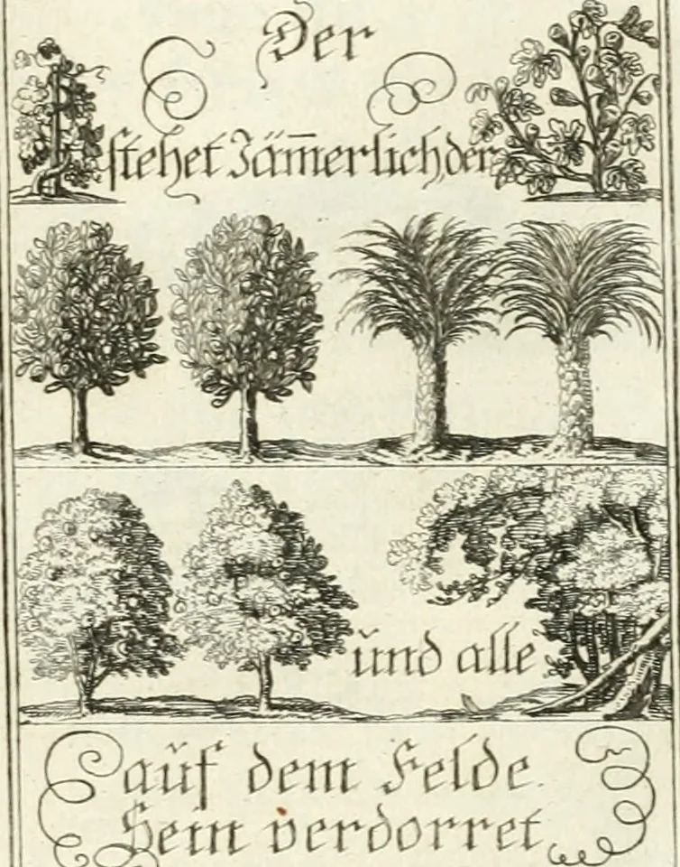 An illustration from Geistliche Herzens-Einbildungen inn zweihundert und fünfzig biblischen Figur-Sprüchen angedeutet : allen andächtige[n] Herze[n], u. der Tugent-Liebenden Jugent, zu einer Gottseligen Belustigung, auch denen Einfältigen, zu einer anmuthigen Vorstellung, unschweren Ergreiffung, und nuzlichen Fassung, auss allen canonischen Büchern der H. Schrifft ..., 1688, leaf 98