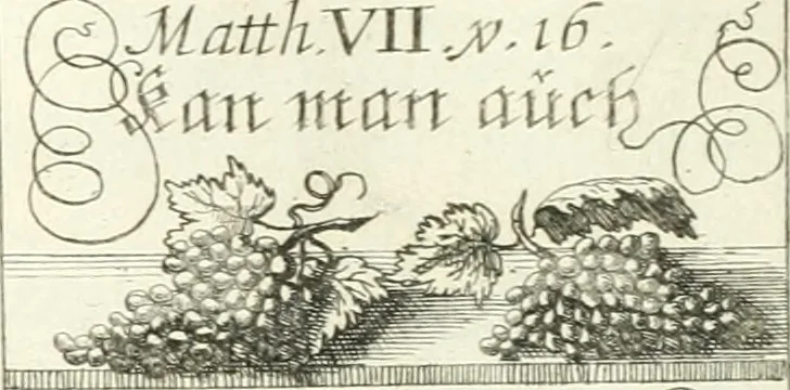 An illustration from Geistliche Herzens-Einbildungen inn zweihundert und fünfzig biblischen Figur-Sprüchen angedeutet : allen andächtige[n] Herze[n], u. der Tugent-Liebenden Jugent, zu einer Gottseligen Belustigung, auch denen Einfältigen, zu einer anmuthigen Vorstellung, unschweren Ergreiffung, und nuzlichen Fassung, auss allen canonischen Büchern der H. Schrifft ..., 1688, leaf 98