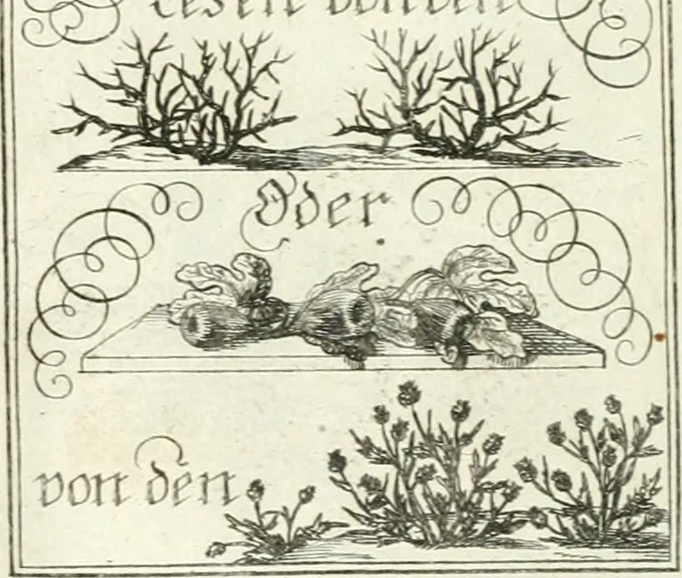 An illustration from Geistliche Herzens-Einbildungen inn zweihundert und fünfzig biblischen Figur-Sprüchen angedeutet : allen andächtige[n] Herze[n], u. der Tugent-Liebenden Jugent, zu einer Gottseligen Belustigung, auch denen Einfältigen, zu einer anmuthigen Vorstellung, unschweren Ergreiffung, und nuzlichen Fassung, auss allen canonischen Büchern der H. Schrifft ..., 1688, leaf 98