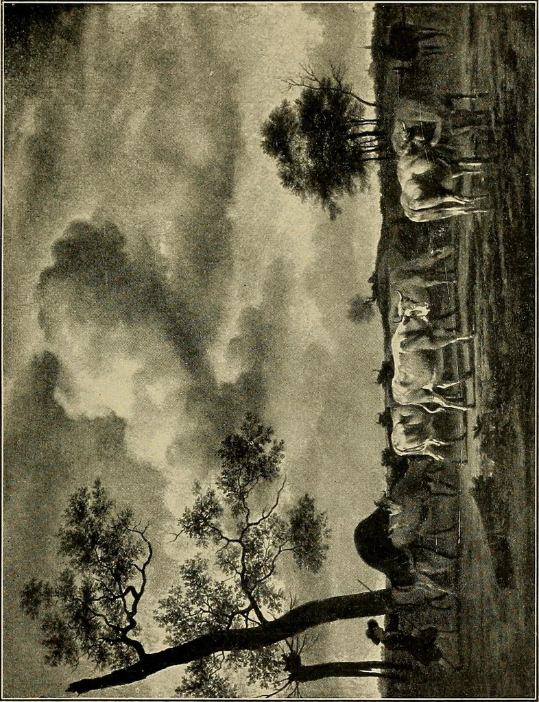 An illustration from Katalog der Gemälde-Sammlung der Kgl. Älteren Pinakothek in München, 1904, leaf 207