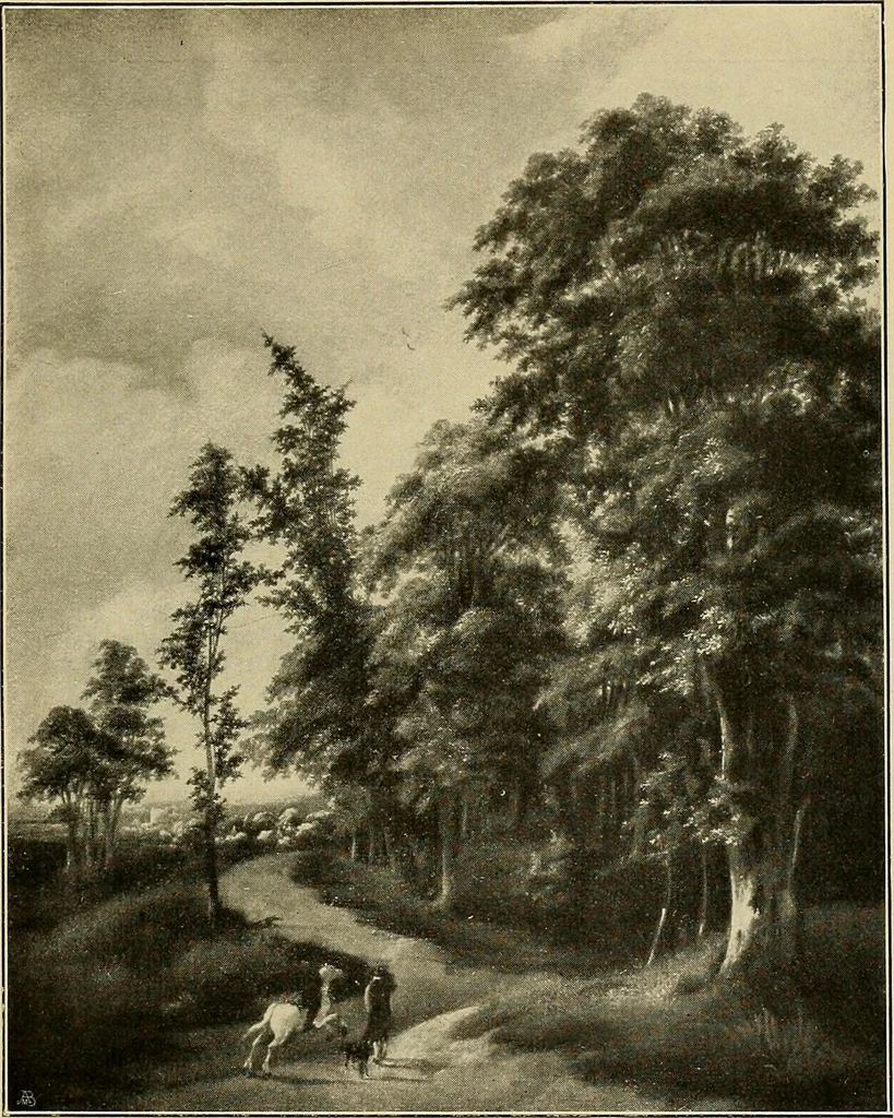 An illustration from Katalog der Gemälde-Sammlung der Kgl. Älteren Pinakothek in München, 1904, leaf 229