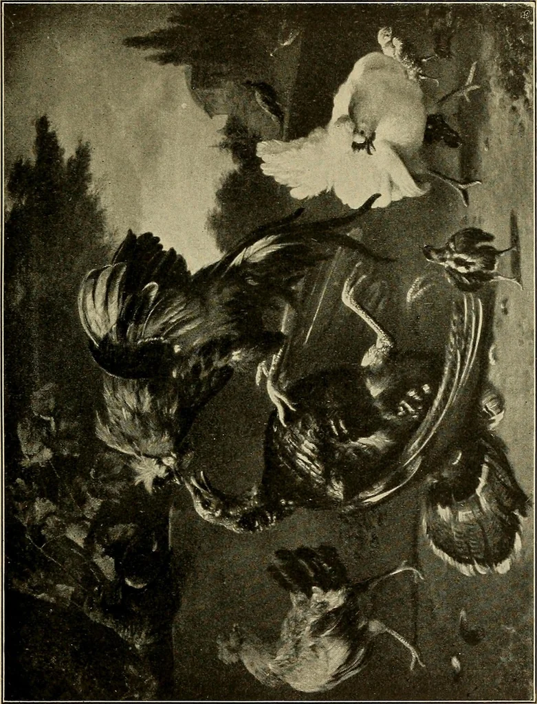 An illustration from Katalog der Gemälde-Sammlung der Kgl. Älteren Pinakothek in München, 1904, leaf 257