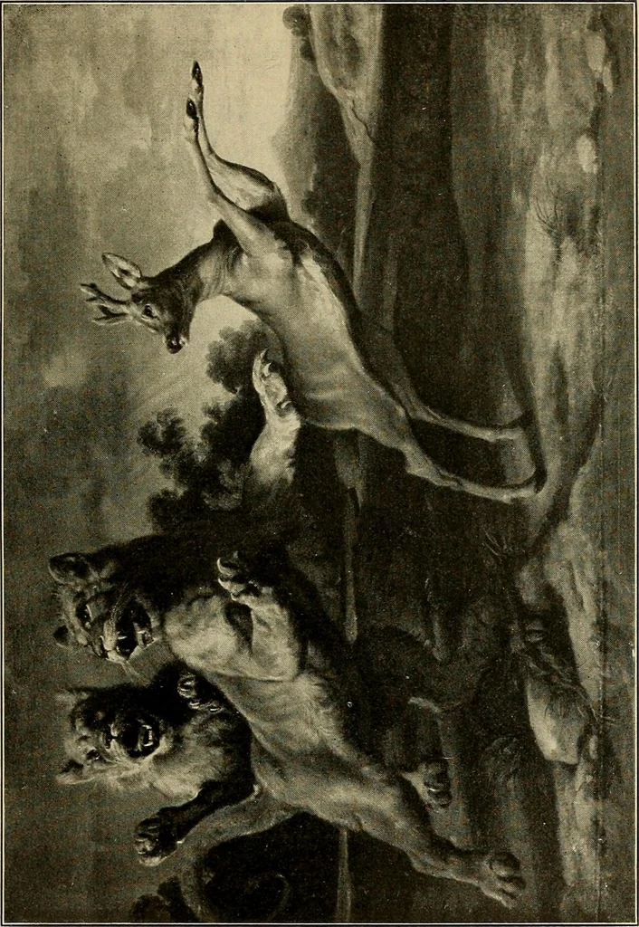 An illustration from Katalog der Gemälde-Sammlung der Kgl. Älteren Pinakothek in München, 1904, leaf 367