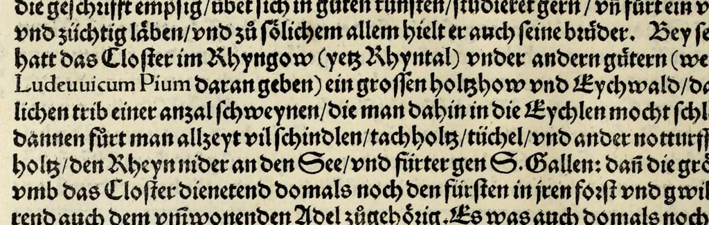 An illustration from Gemeiner loblicher Eydgnoschafft Stetten, Landen vnd Völckeren Chronick wirdiger Thaaten Beschreybung : hieriñ wirt auch die Gelegenheit der gantzen Europe : item ein kurtzuer griffne Chronica Germanie oder Teütschlands : in sonders aber ein fleyssige histori vnd ordenliche Beschreybung Gallie oder Franckrychs fürgestellt : darauff deñ obgedachte der Eydgnoschafft Beschreybung volget ..., 1548, leaf 214