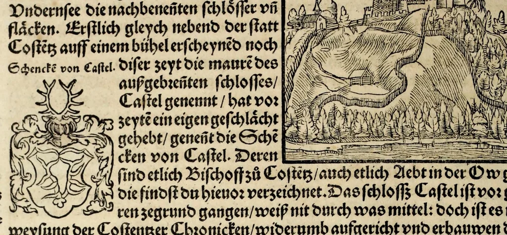 An illustration from Gemeiner loblicher Eydgnoschafft Stetten, Landen vnd Völckeren Chronick wirdiger Thaaten Beschreybung : hieriñ wirt auch die Gelegenheit der gantzen Europe : item ein kurtzuer griffne Chronica Germanie oder Teütschlands : in sonders aber ein fleyssige histori vnd ordenliche Beschreybung Gallie oder Franckrychs fürgestellt : darauff deñ obgedachte der Eydgnoschafft Beschreybung volget ..., 1548, leaf 316