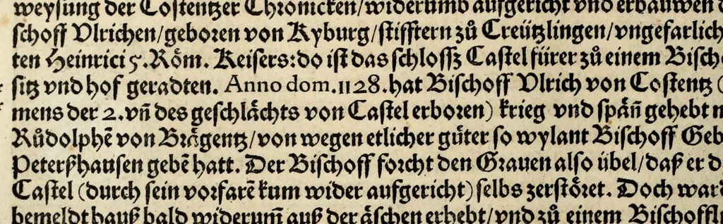 An illustration from Gemeiner loblicher Eydgnoschafft Stetten, Landen vnd Völckeren Chronick wirdiger Thaaten Beschreybung : hieriñ wirt auch die Gelegenheit der gantzen Europe : item ein kurtzuer griffne Chronica Germanie oder Teütschlands : in sonders aber ein fleyssige histori vnd ordenliche Beschreybung Gallie oder Franckrychs fürgestellt : darauff deñ obgedachte der Eydgnoschafft Beschreybung volget ..., 1548, leaf 316