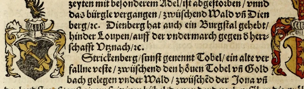 An illustration from Gemeiner loblicher Eydgnoschafft Stetten, Landen vnd Völckeren Chronick wirdiger Thaaten Beschreybung : hieriñ wirt auch die Gelegenheit der gantzen Europe : item ein kurtzuer griffne Chronica Germanie oder Teütschlands : in sonders aber ein fleyssige histori vnd ordenliche Beschreybung Gallie oder Franckrychs fürgestellt : darauff deñ obgedachte der Eydgnoschafft Beschreybung volget ..., 1548, leaf 454